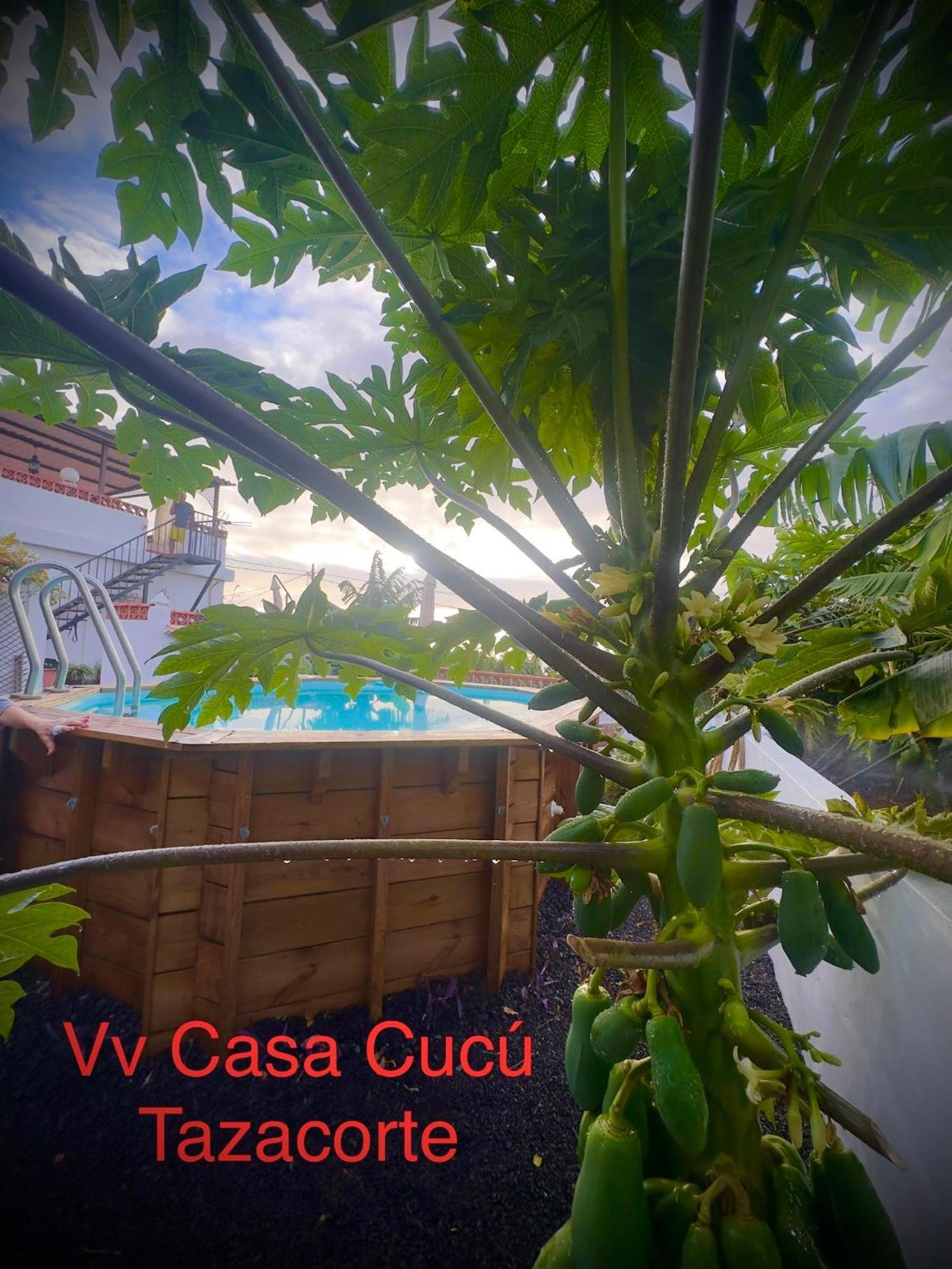 Casa Cucu Villa Tazacorte Eksteriør bilde